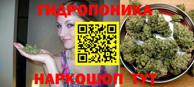 каннабис Камышлов