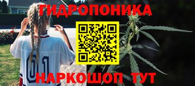 бошки Кандалакша