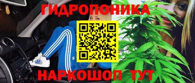каннабис Камышлов